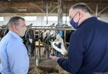 Prezydent wspomina pięć lat prezydentury: zaskoczył mnie ogrom odpowiedzialności