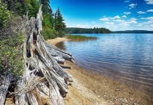 W poniedziałek Ontario otwiera kempingi – ale tylko backcountry