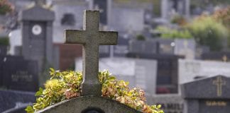 Marcin Baraniecki: Poproszę duży winiak (29)