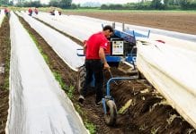 Wszyscy pracownicy rolni badani na Covid-19?