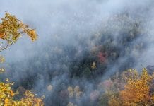 Ontario: Gorąco, mało opadów i wilgotno