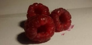 Michalinka: Zapachy i smaki lata