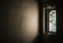 Ligęza: ECHA I CIENIE