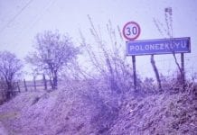 Samborski: Polonezkoyu czyli Adampol