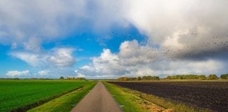 Michalinka: Polna droga (rural road)