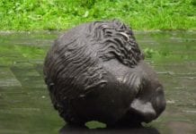 Premier Trudeau potępił obalenie pomnika pierwszego premiera Kanady