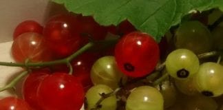 Michalinka: Nie wystarczy opłukać