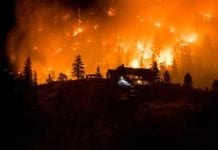 W Kolumbii Brytyjskiej płoną lasy