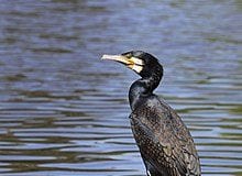 Michalinka: Skutki pływania na kajaku