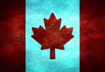 Wybory federalne całkiem możliwe