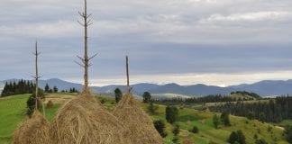 Marcin Baraniecki: Tryptyk Podkarpacki: KASA (12)