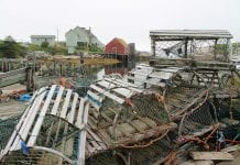 Indianie chcą łowić przez cały rok