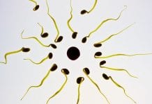 Wybrakowana sperma niewykształconego dawcy powodem pozwu siedmiu rodzin