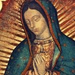 Od Wojciecha Cejrowskiego: NIE LĘKAJCIE SIĘ.