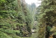 Przypadkowe otwarcie tamy zabiło jedną osobę