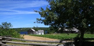 Ucieczka przed COVIDem do Nowego Brunszwiku