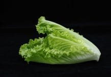 Sałata z E. coli nie trafi na nasz rynek