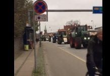 Protest holenderskich rolników przeciwko wybiciu norek