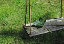 Ligęza: BRZĄSZCZ NAORNY