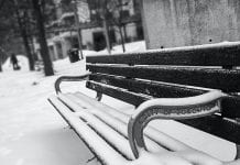 Toronto otwiera zimą dodatkowe toalety w parkach