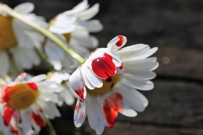 stop-youth-suicide-3414521_1280