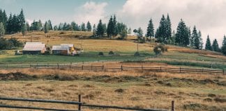 Marcin Baraniecki: Tryptyk Podkarpacki: KASA (18)