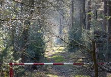 Ottawa rozważa możliwość wprowadzenia ograniczeń w przemieszczaniu się