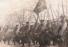 Linkner: POLSKIE SOKOŁY W TORONTO