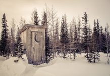 Alaska: Niedźwiedź zaatakował w wychodku