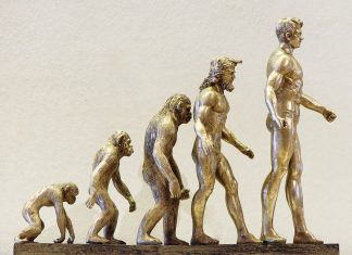 Ligęza: AKSAMIT FAŁSZU