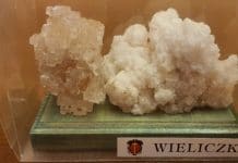 Kumor: Córuś przynieś wody dziadziusiowi. Bluzgi-bis