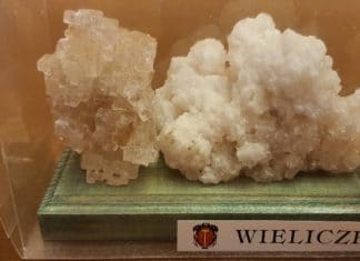 Kumor: Córuś przynieś wody dziadziusiowi. Bluzgi-bis