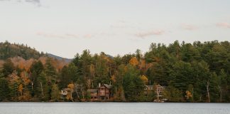 COTTAGE – DOCHODOWY OBIEKT POŻĄDANIA