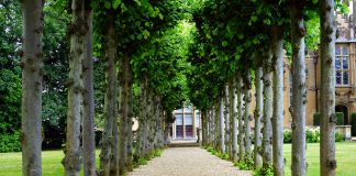 OKRES PRZEDEMERYTALNY – CZAS NA DOBRE DECYZJE