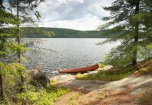 Ontario: Chcesz uciec do dzikiej przyrody zapłacisz jak za woły