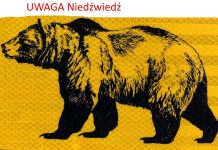 Piękna Kanada Odcinek 5 – Uwaga Niedźwiedź