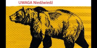 Piękna Kanada Odcinek 5 – Uwaga Niedźwiedź