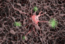 Tajemnicza choroba neurologiczna atakuje mieszkańców Nowego Brunszwiku