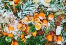 900 milionów ton jedzenia na śmietnik