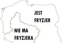 Tylko pół Polski będzie zarośnięte