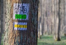 Michalkiewicz: Biura Polityczne i sędziowie wytyczają szlaki