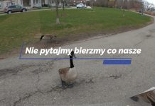 Nie dajmy się covidowym watażkom