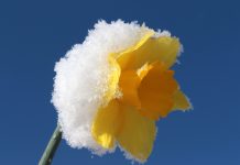 Michalinka: Dlaczego znów jesteście zdziwieni?