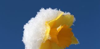 Michalinka: Dlaczego znów jesteście zdziwieni?