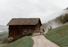 Marcin Baraniecki: KAPO (1)