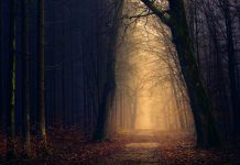 Marcin Baraniecki: TRYPTYK PODKARPACKI: Kocia wiara (14)