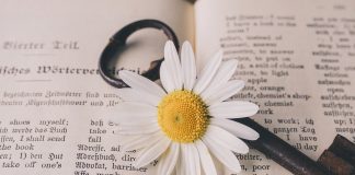 Farmus: Języki jakie są nam potrzebne