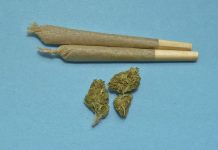 Nielegalny sklep z marihuaną w North York zamknięty