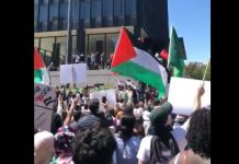 Propalestyńskie demonstracje w całej Kanadzie