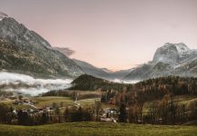 Marcin Baraniecki: KAPO (4)